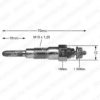 DELPHI HDS243 Glow Plug